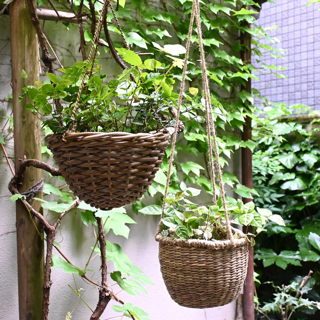 ���� �饿�� �ϥ󥮥� �Х����å� 30cm ���� ��ʪ ���� �ߤ뤹 ����ƥꥢ ���� �ߤ겼�� ���� �� �󤻿��� �ץ�󥿡� ȭ���С� �ʥ����� �������� ������ ɳ 