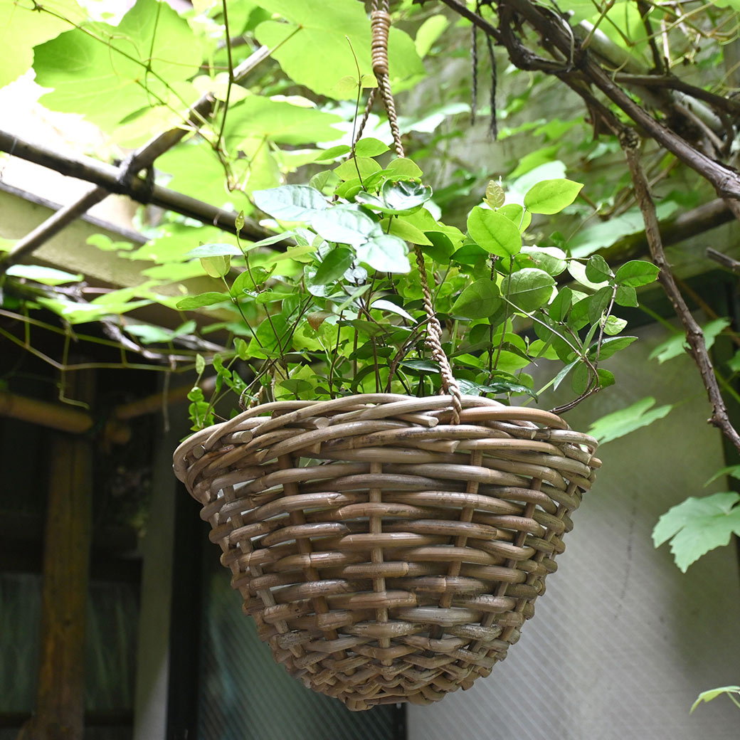 ���� �饿�� �ϥ󥮥� �Х����å� 30cm ���� ��ʪ ���� �ߤ뤹 ����ƥꥢ ���� �ߤ겼�� ���� �� �󤻿��� �ץ�󥿡� ȭ���С� �ʥ����� �������� ������ ɳ 