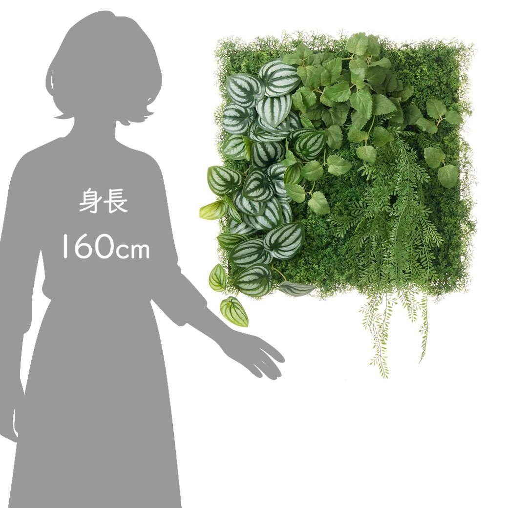 �ե��������꡼�� ���տ�ʪ �͹����տ�ʪ ¤�� �ɳݤ� ���꡼��ѥͥ� �緿 L������ 50cm�� �ڤڥ��ߥ� ���� ������� ���� ����ƥꥢ PRGR-1571EP GREENPARK ����̵�� 