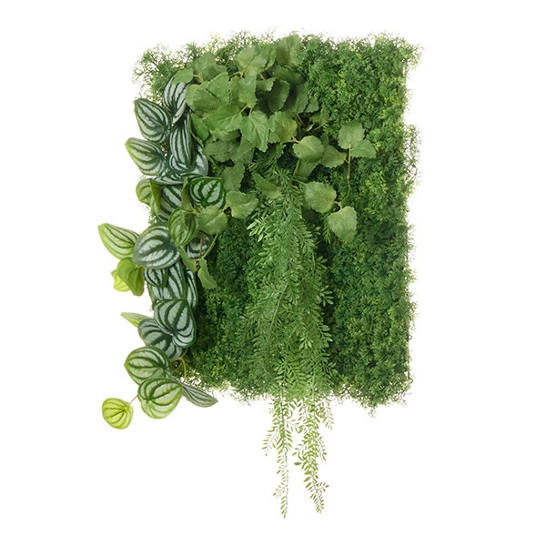 �ե��������꡼�� ���տ�ʪ �͹����տ�ʪ ¤�� �ɳݤ� ���꡼��ѥͥ� �緿 L������ 50cm�� �ڤڥ��ߥ� ���� ������� ���� ����ƥꥢ PRGR-1571EP GREENPARK ����̵�� 