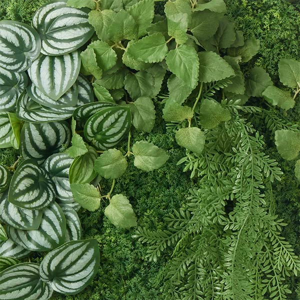 �ե��������꡼�� ���տ�ʪ �͹����տ�ʪ ¤�� �ɳݤ� ���꡼��ѥͥ� �緿 L������ 50cm�� �ڤڥ��ߥ� ���� ������� ���� ����ƥꥢ PRGR-1571EP GREENPARK ����̵�� 