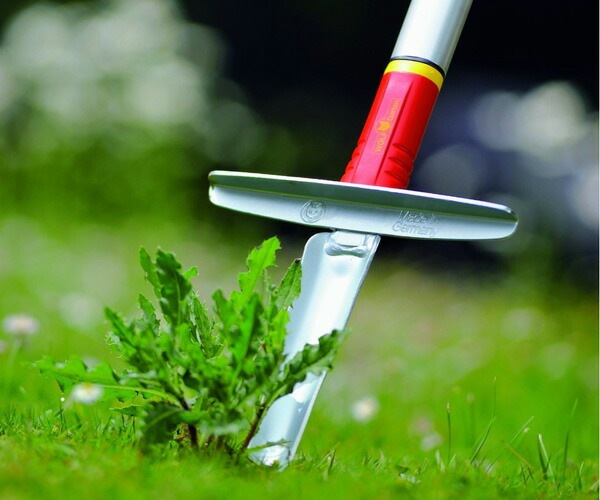 ���� ƻ�� �𴢤� ������ ���� KS-M �� ����ߥ˥��� D �ϥ�ɥ� �� ZM-AD �Υ��å� ����ե���ƥ� WOLF Garten �����ǥ˥����� ���� ƻ�� ��� ������ ������̵����