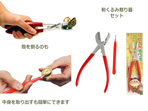 �¤���� �� ���դ� 500g ������ ���˥���� ����߳��� �ۤ�����ߤ� ���å� �᡼���� �б� ��긩�� ���ե� �ץ쥼��� �������å� �ʥå� �� �����ٱ� �᡼��������̵�� 