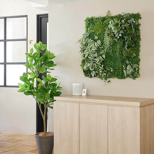 �ե��������꡼�� ���տ�ʪ �͹����տ�ʪ ¤�� �ɳݤ� ���꡼��ѥͥ� �緿 A������ 75cm ��������ץ��� �ե��åȥ˥� �ݥȥ� ����ƥꥢ PRGR-1572EP GREENPARK ����̵�� 