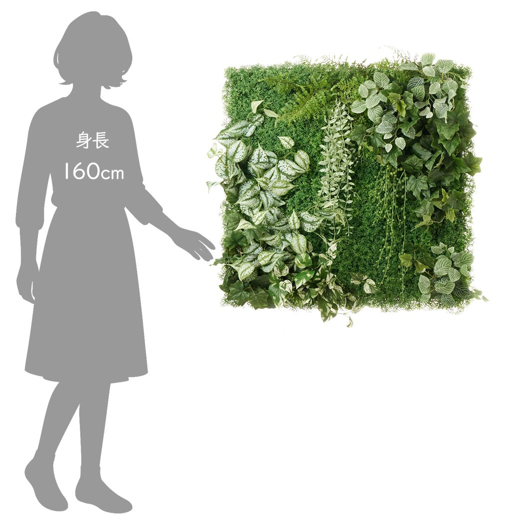 �ե��������꡼�� ���տ�ʪ �͹����տ�ʪ ¤�� �ɳݤ� ���꡼��ѥͥ� �緿 A������ 75cm ��������ץ��� �ե��åȥ˥� �ݥȥ� ����ƥꥢ PRGR-1572EP GREENPARK ����̵�� 