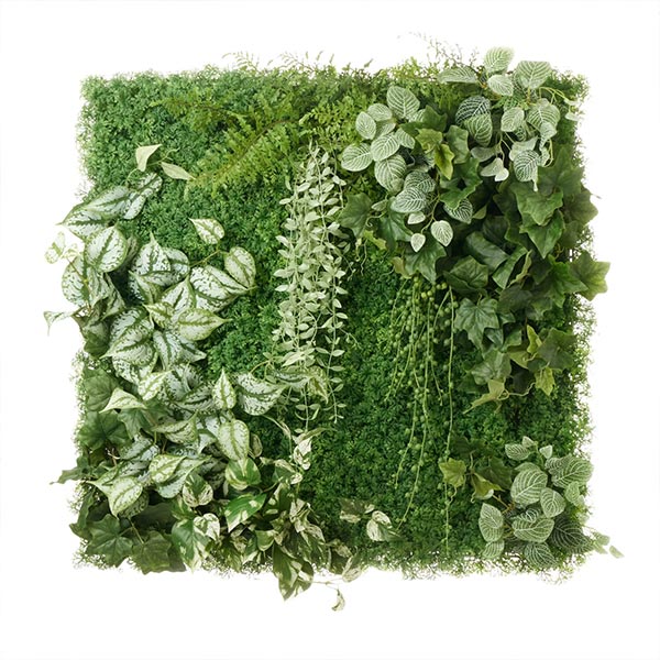 �ե��������꡼�� ���տ�ʪ �͹����տ�ʪ ¤�� �ɳݤ� ���꡼��ѥͥ� �緿 A������ 75cm ��������ץ��� �ե��åȥ˥� �ݥȥ� ����ƥꥢ PRGR-1572EP GREENPARK ����̵�� 