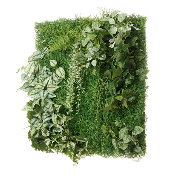 �ե��������꡼�� ���տ�ʪ �͹����տ�ʪ ¤�� �ɳݤ� ���꡼��ѥͥ� �緿 A������ 75cm ��������ץ��� �ե��åȥ˥� �ݥȥ� ����ƥꥢ PRGR-1572EP GREENPARK ����̵�� 