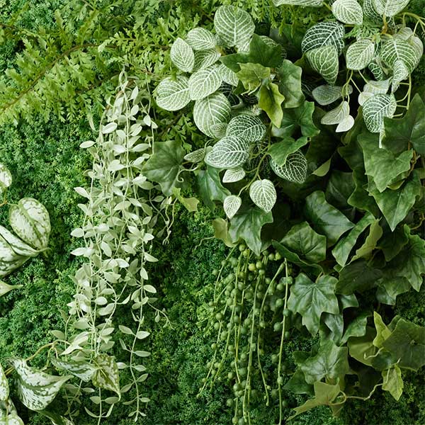 �ե��������꡼�� ���տ�ʪ �͹����տ�ʪ ¤�� �ɳݤ� ���꡼��ѥͥ� �緿 A������ 75cm ��������ץ��� �ե��åȥ˥� �ݥȥ� ����ƥꥢ PRGR-1572EP GREENPARK ����̵�� 