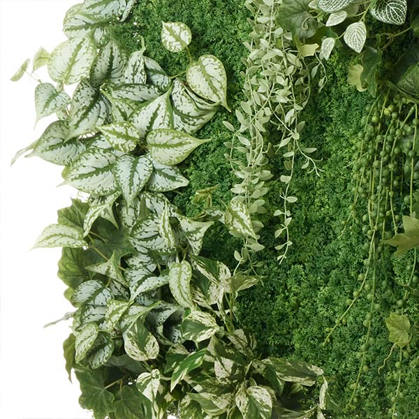 �ե��������꡼�� ���տ�ʪ �͹����տ�ʪ ¤�� �ɳݤ� ���꡼��ѥͥ� �緿 A������ 75cm ��������ץ��� �ե��åȥ˥� �ݥȥ� ����ƥꥢ PRGR-1572EP GREENPARK ����̵�� 