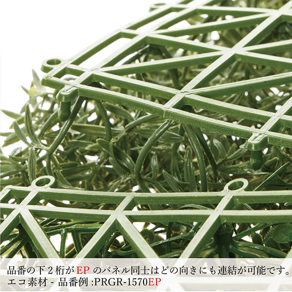 �ե��������꡼�� ���տ�ʪ �͹����տ�ʪ ¤�� �ɳݤ� ���꡼��ѥͥ� �緿 A������ 75cm ��������ץ��� �ե��åȥ˥� �ݥȥ� ����ƥꥢ PRGR-1572EP GREENPARK ����̵�� 