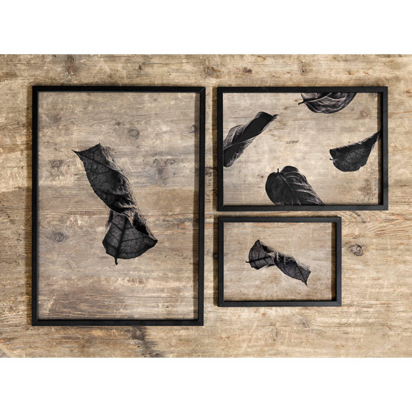 �ݥ����� �����ȥݥ����� ������� �̲� �̲��ݥ����� �ڡ��ѡ����쥯�ƥ��� Floating Leaves 03 A4 ���ꥢ �᡼���� �б� Paper Collective 8120 Ʃ�� �� ����̵�� 