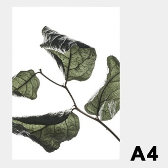 �ݥ����� �����ȥݥ����� ������� �̲� �̲��ݥ����� �ڡ��ѡ����쥯�ƥ��� Floating Leaves 03 A4 ���ꥢ �᡼���� �б� Paper Collective 8120 Ʃ�� �� ����̵�� 