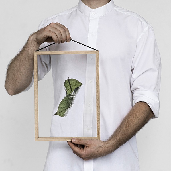 �ݥ����� �����ȥݥ����� ������� �̲� �̲��ݥ����� �ڡ��ѡ����쥯�ƥ��� Floating Leaves 04 A4 ���ꥢ �᡼���� �б� Paper Collective 8123 Ʃ�� �� ����̵�� 