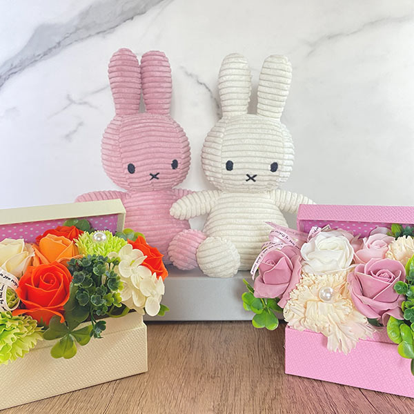 �ߥåե��� �̤������ ������ �ե� ���å� ���å� ��� ���ե� �ץ쥼��Ȳ� ������ ����� �Ϥ�ʤ� ����ܥ� �ץꥶ���֥� ����󥸥��� ���奨�꡼ �ܥå��� ������̵����