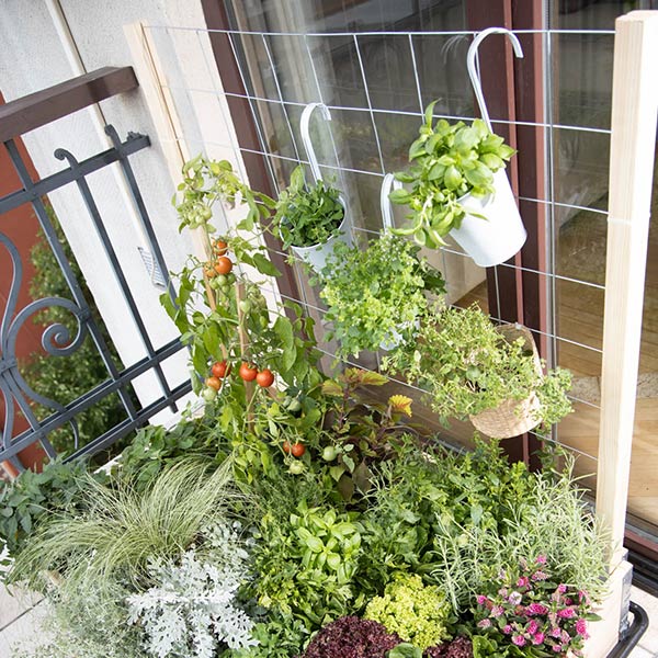 �����ǥ�ܥå��� W1200�� 120��80cm �ȥ�ꥹ 2�� ���å� ���� �ϥ������� �����ǥ˥� �����ڱ� �ץ�󥿡� �緿 ������� UPYARD ���åץ䡼�� �����ǥ� ������̵����