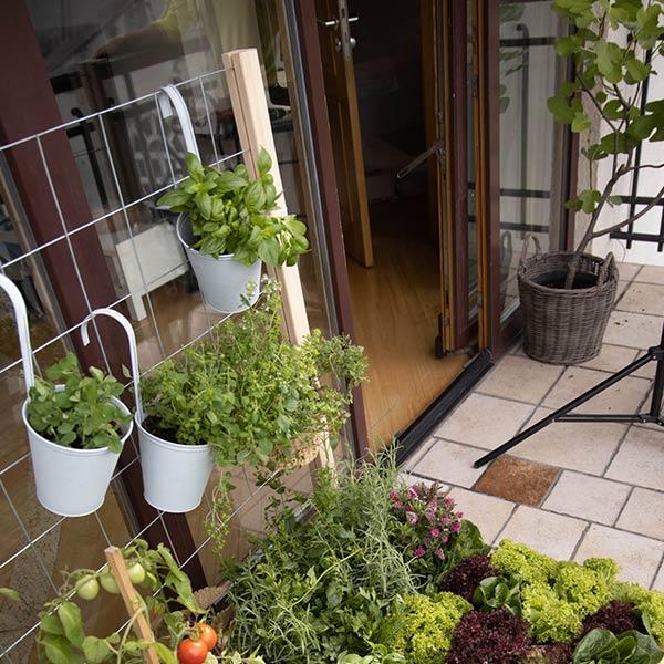 �����ǥ�ܥå��� W1200�� 120��80cm �ȥ�ꥹ 2�� ���å� ���� �ϥ������� �����ǥ˥� �����ڱ� �ץ�󥿡� �緿 ������� UPYARD ���åץ䡼�� �����ǥ� ������̵����