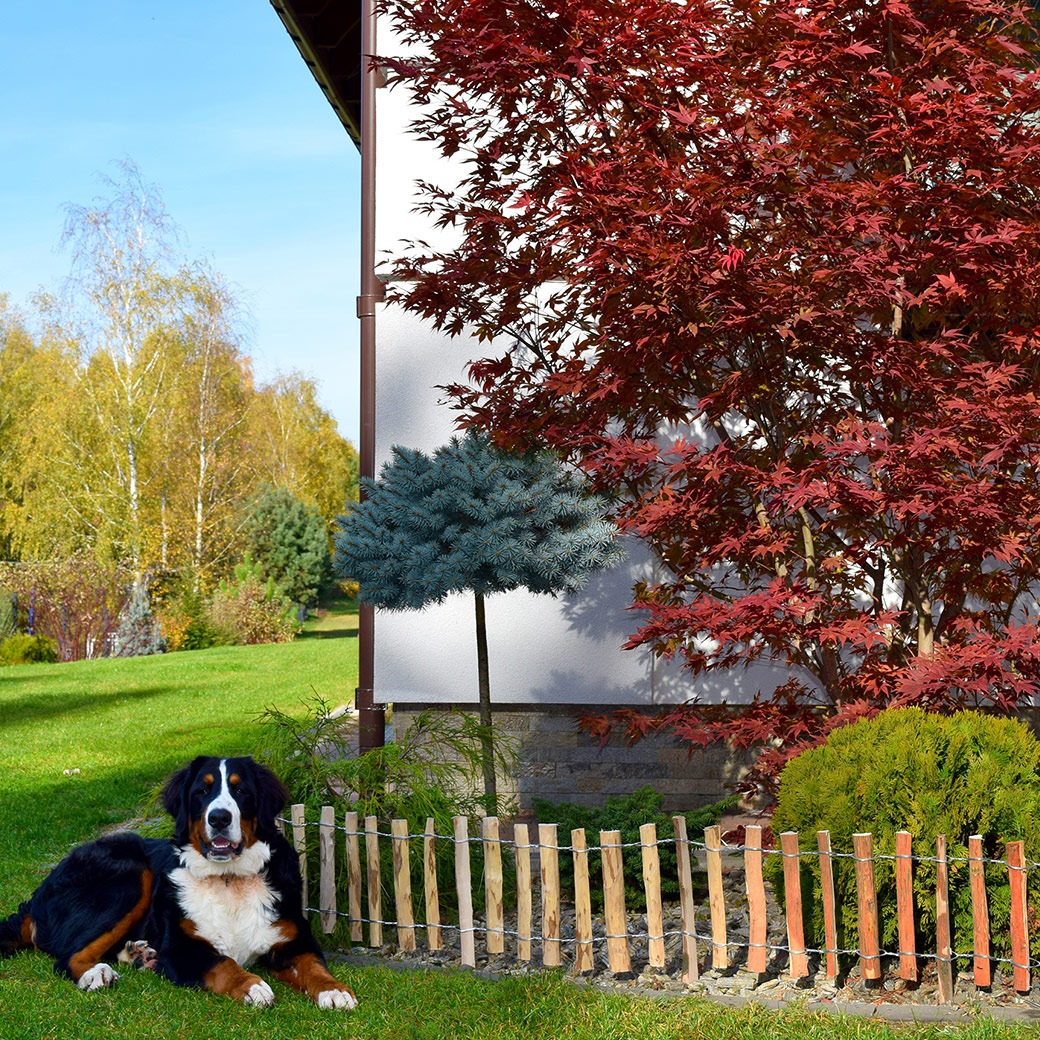 �ե��� DIY ���� ���� H28cm 2m ���������� 4�� ���å� �ء�����ʥå� �ʥ����� ������� ���� ���� �� ������ ŷ���Ǻ� �Ϥ� ���ڤ� ��� �� �����ǥ˥� 