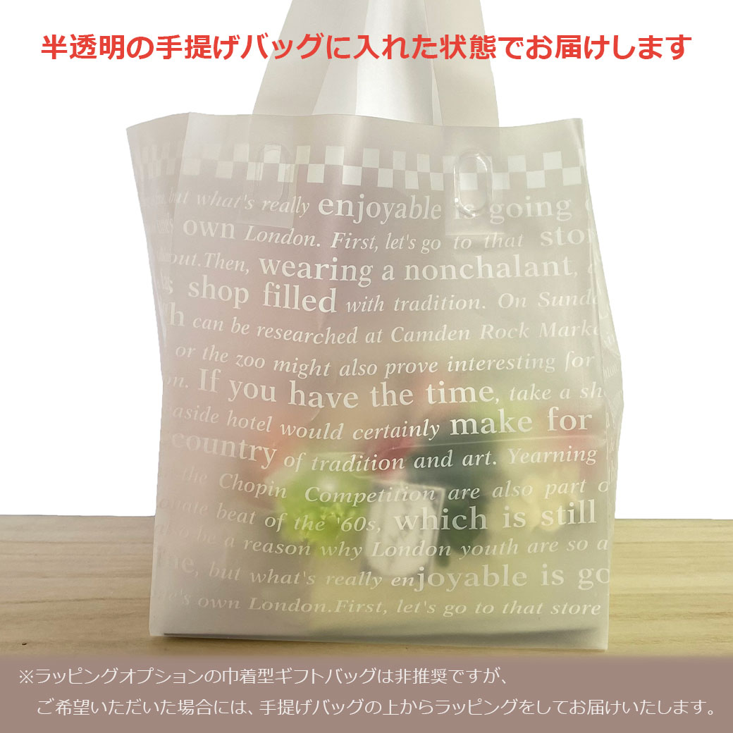 �ߥåե��� �̤������ ������ �ե� ���å� 23cm ���å� ��� ���å� �ץ��ץ� ���ե� �ץ쥼��ȥ֡��� ¤�� ´�� �� ������ ����� �Ϥ�ʤ� ����ܥ� �ޥ��ͥå� ������̵����