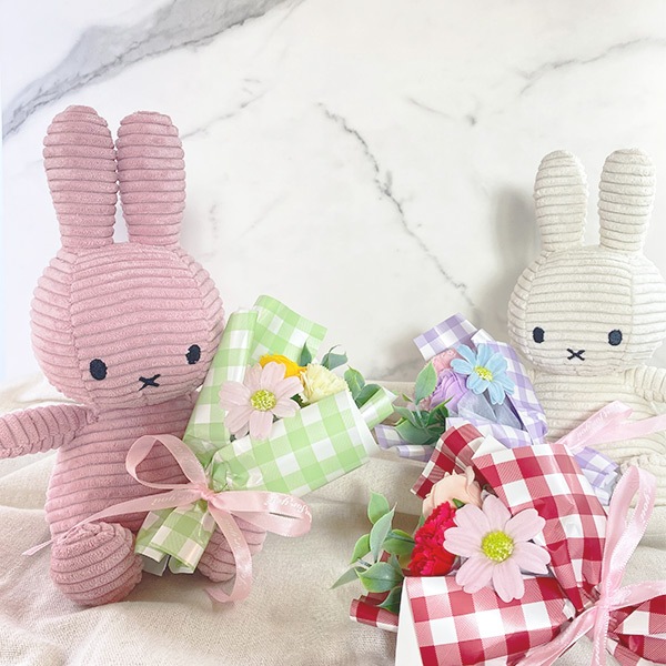 �ߥåե��� �̤������ ������ �ե� ���å� 23cm ���å� ��� ���å� �ץ��ץ� ���ե� �ץ쥼��ȥ֡��� ¤�� ´�� �� ������ ����� �Ϥ�ʤ� ����ܥ� �ޥ��ͥå� ������̵����