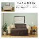 ������å� ���ե��� ���С� �쥶��Ĵ 100��200cm ���� �����ɻ� ���� �ý� ����ˤʤ�ˤ��� ����ˤ��� ���̥����� ���ե������С� �����ҥ� ikehiko ����̵�� 