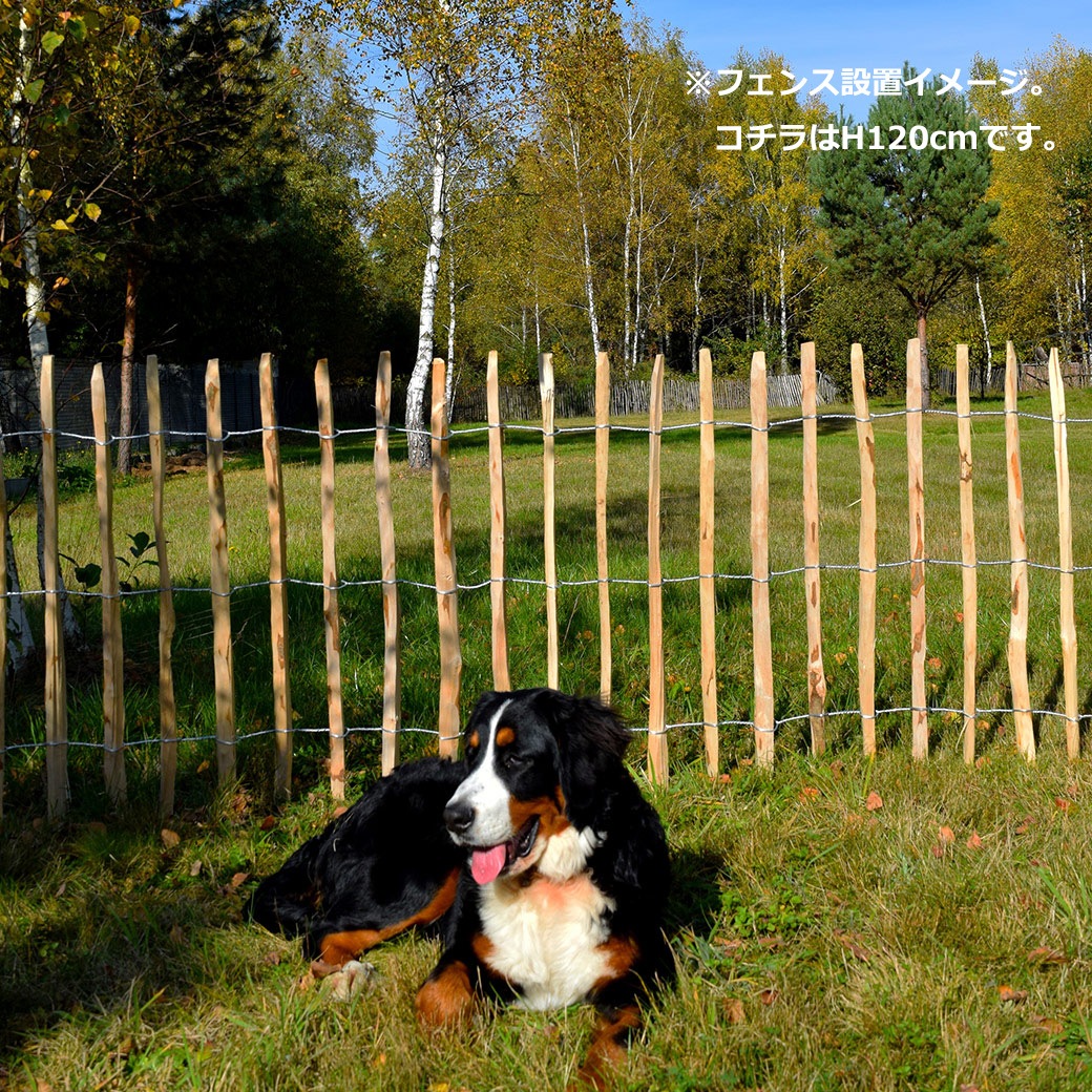 �ե��� DIY ���� ���� H90cm 5m 2�� ���å� �ء�����ʥå� �ʥ����� ����ץ� ���� �ɥå���� �ϥ��Х� �� ������ ŷ���Ǻ� �Ϥ� ��� �� �����ǥ˥� 