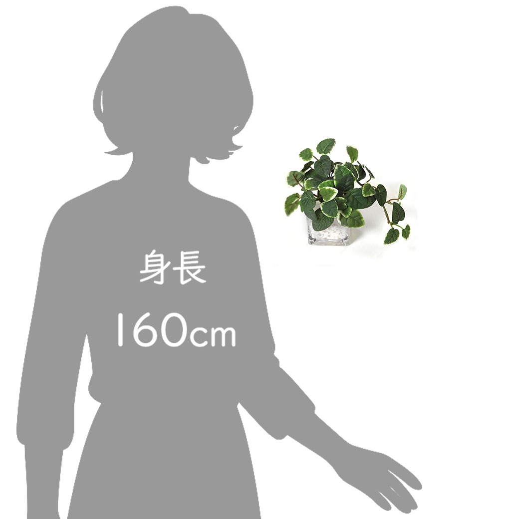 �ե��������꡼�� ���տ�ʪ �͹����տ�ʪ ¤�� ��� �ߥ� �ץߥ� ���奬���Х��� �������󥿥� �������������塼�� 3�ĥ��å� ��� �ȥ��� GREENPARK PRGR-1304 ����̵�� 