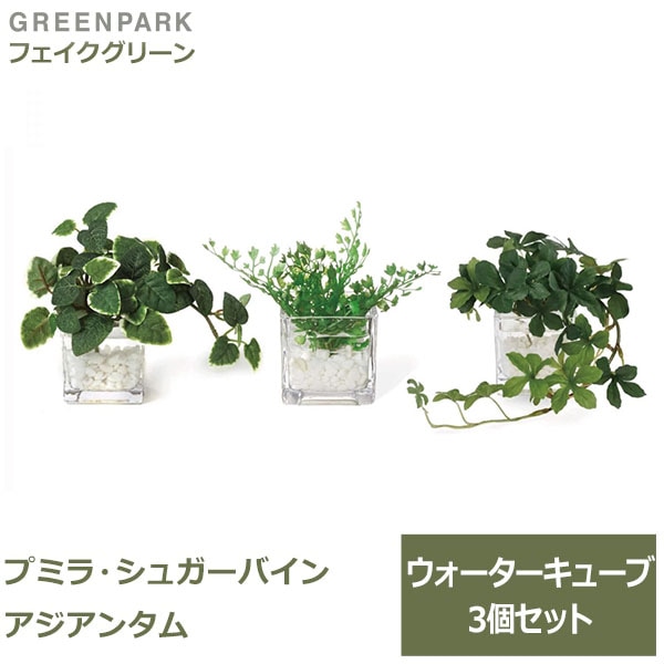 �ե��������꡼�� ���տ�ʪ �͹����տ�ʪ ¤�� ��� �ߥ� �ץߥ� ���奬���Х��� �������󥿥� �������������塼�� 3�ĥ��å� ��� �ȥ��� GREENPARK PRGR-1304 ����̵�� 