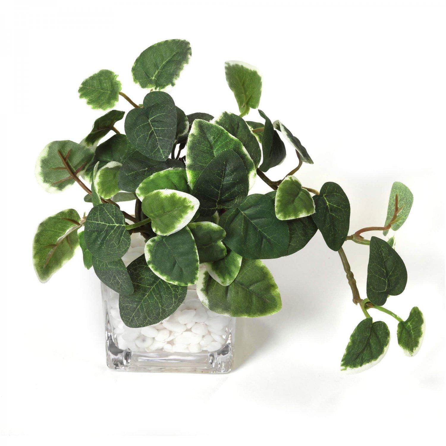 �ե��������꡼�� ���տ�ʪ �͹����տ�ʪ ¤�� ��� �ߥ� �ץߥ� ���奬���Х��� �������󥿥� �������������塼�� 3�ĥ��å� ��� �ȥ��� GREENPARK PRGR-1304 ����̵�� 