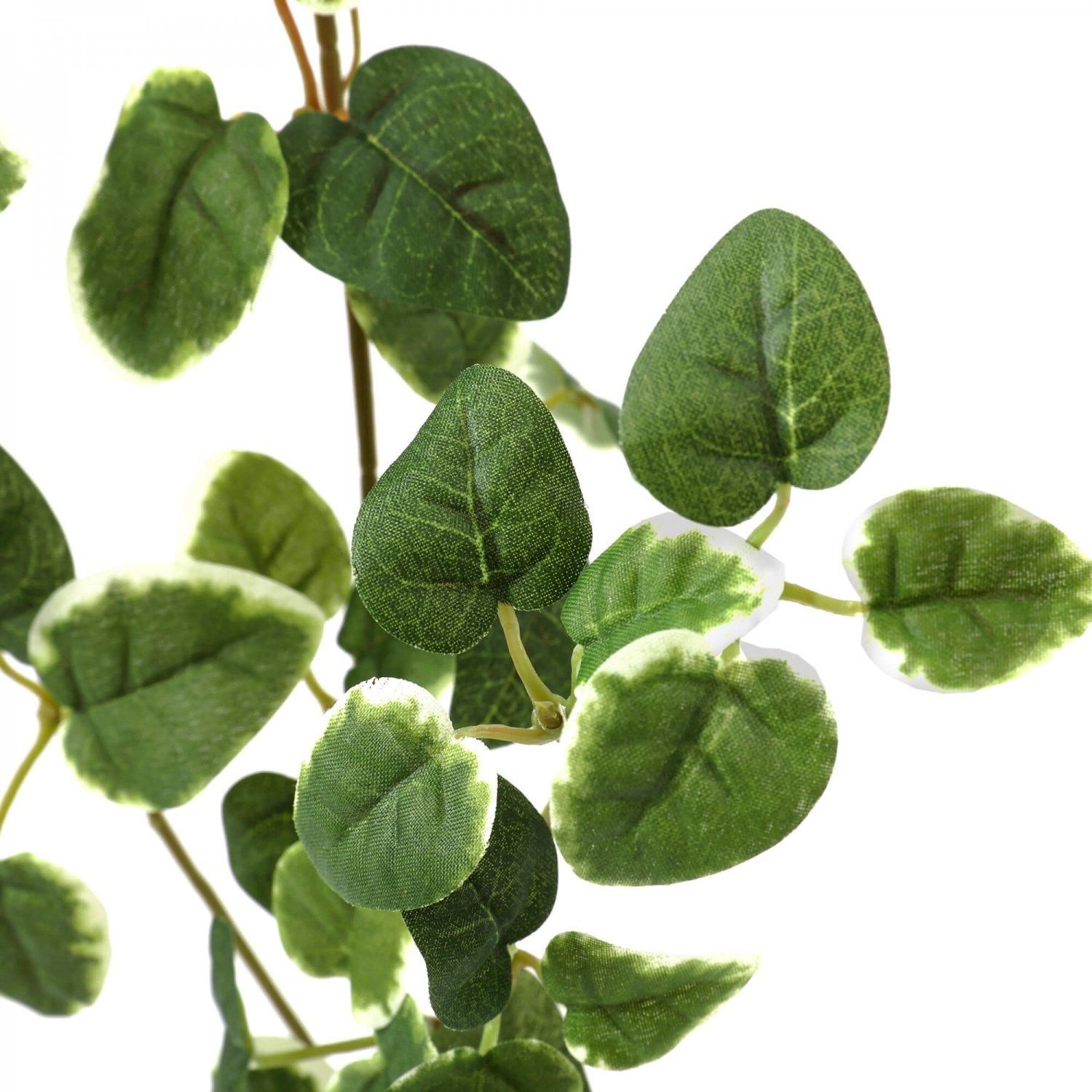 �ե��������꡼�� ���տ�ʪ �͹����տ�ʪ ¤�� ��� �ߥ� �ץߥ� ���奬���Х��� �������󥿥� �������������塼�� 3�ĥ��å� ��� �ȥ��� GREENPARK PRGR-1304 ����̵�� 