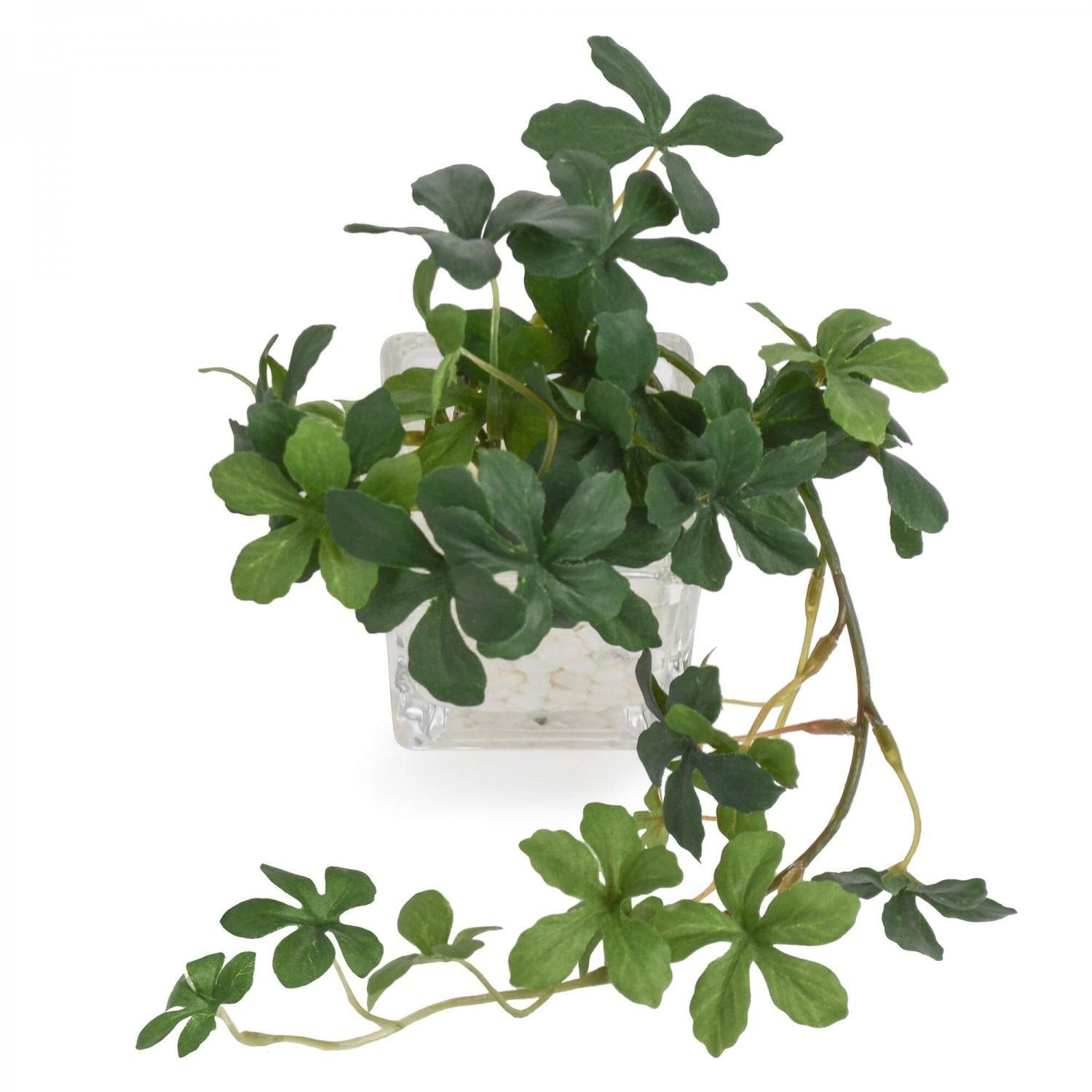 �ե��������꡼�� ���տ�ʪ �͹����տ�ʪ ¤�� ��� �ߥ� �ץߥ� ���奬���Х��� �������󥿥� �������������塼�� 3�ĥ��å� ��� �ȥ��� GREENPARK PRGR-1304 ����̵�� 