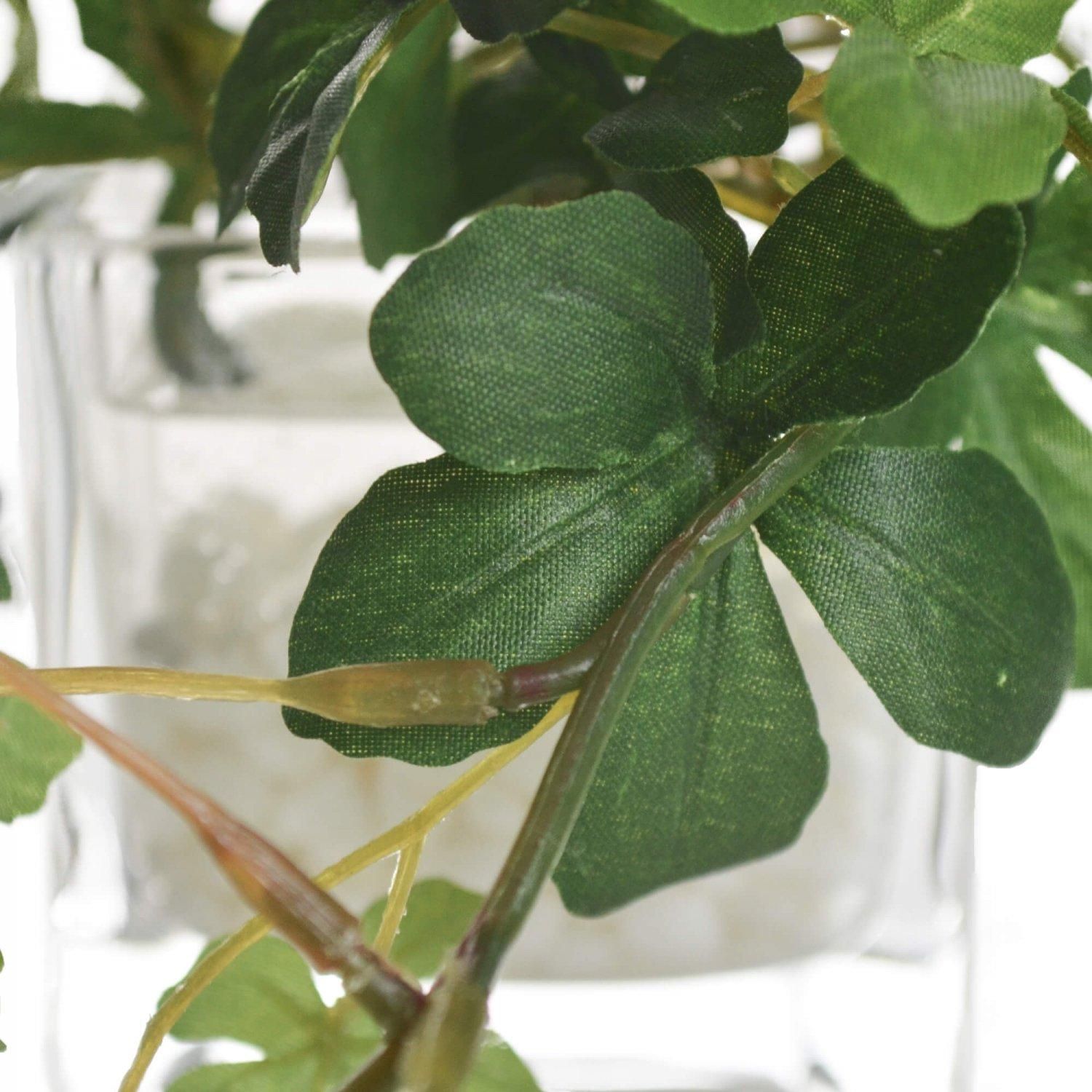 �ե��������꡼�� ���տ�ʪ �͹����տ�ʪ ¤�� ��� �ߥ� �ץߥ� ���奬���Х��� �������󥿥� �������������塼�� 3�ĥ��å� ��� �ȥ��� GREENPARK PRGR-1304 ����̵�� 