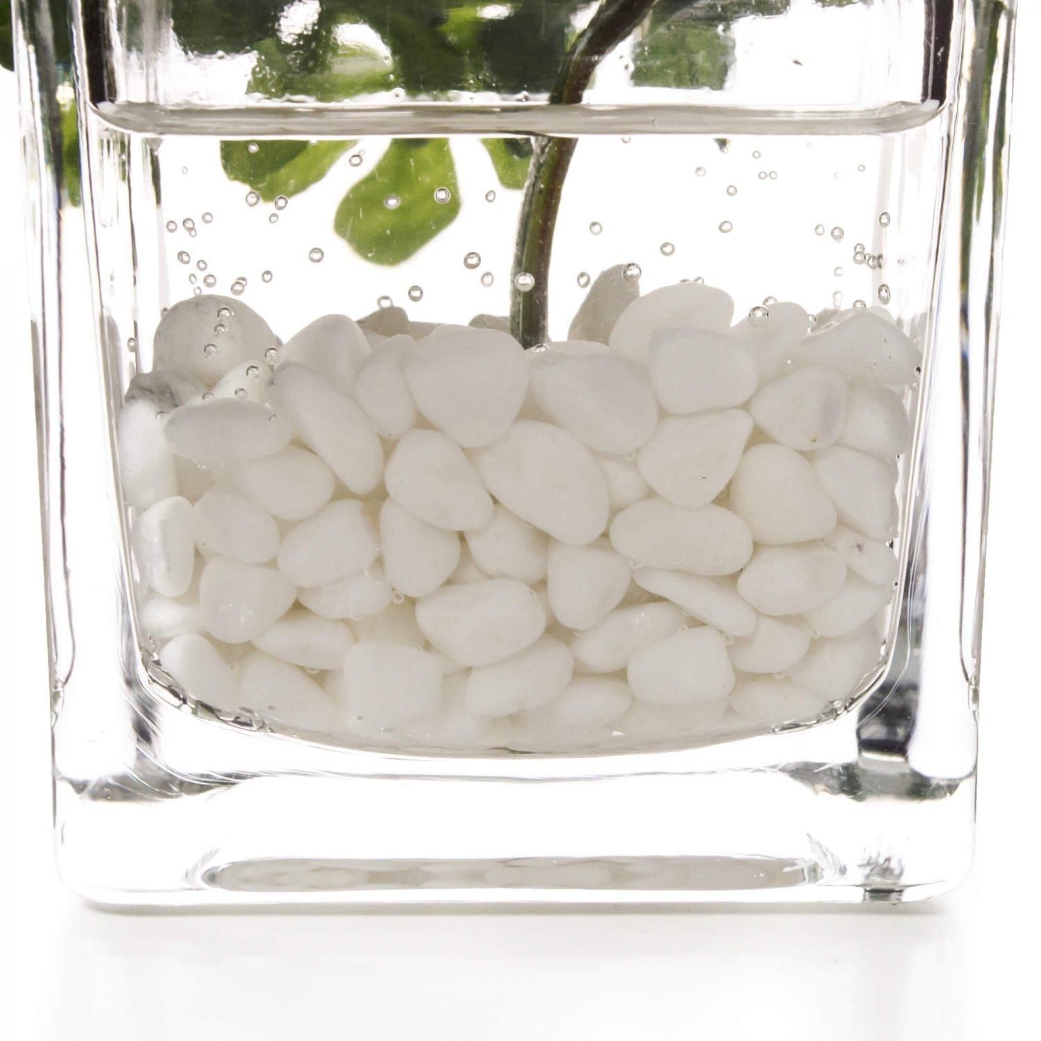 �ե��������꡼�� ���տ�ʪ �͹����տ�ʪ ¤�� ��� �ߥ� �ץߥ� ���奬���Х��� �������󥿥� �������������塼�� 3�ĥ��å� ��� �ȥ��� GREENPARK PRGR-1304 ����̵�� 