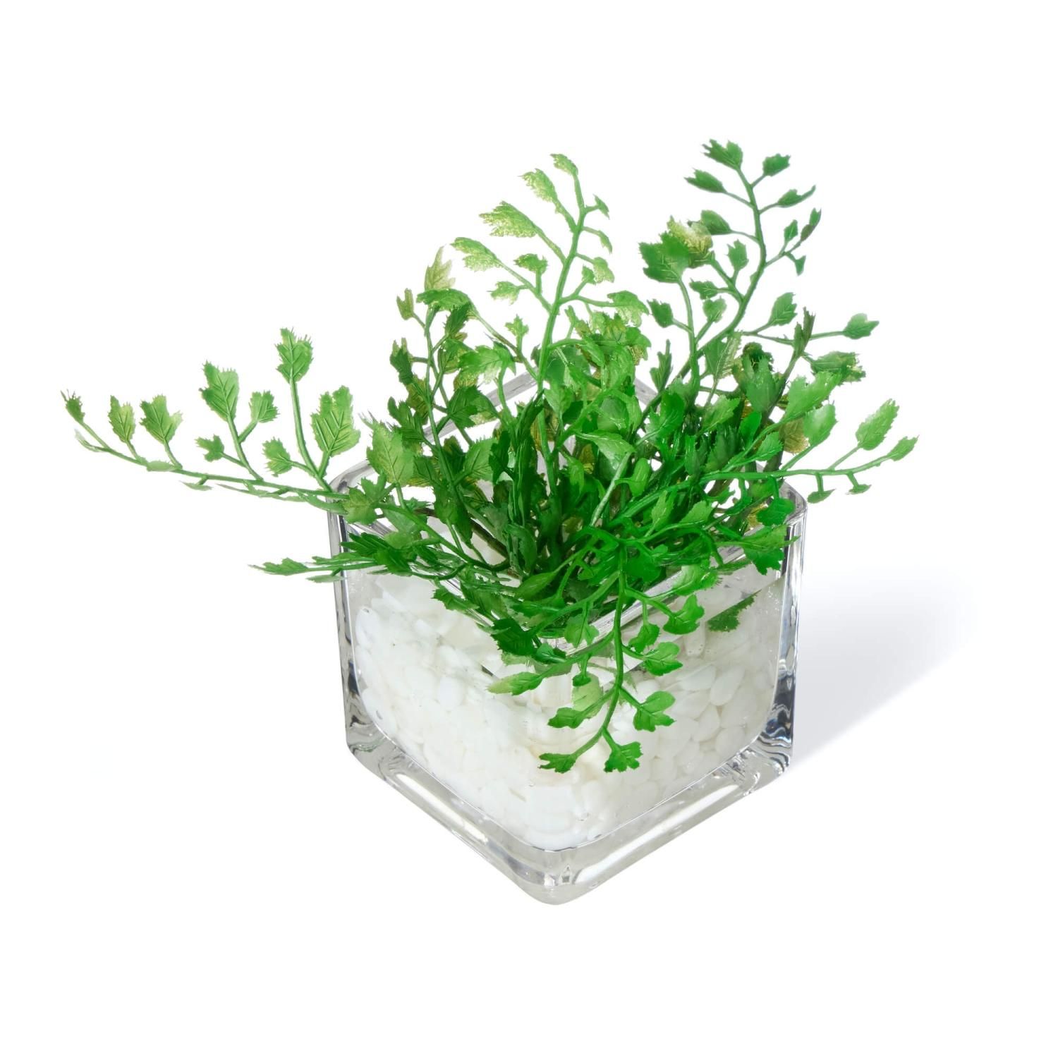 �ե��������꡼�� ���տ�ʪ �͹����տ�ʪ ¤�� ��� �ߥ� �ץߥ� ���奬���Х��� �������󥿥� �������������塼�� 3�ĥ��å� ��� �ȥ��� GREENPARK PRGR-1304 ����̵�� 