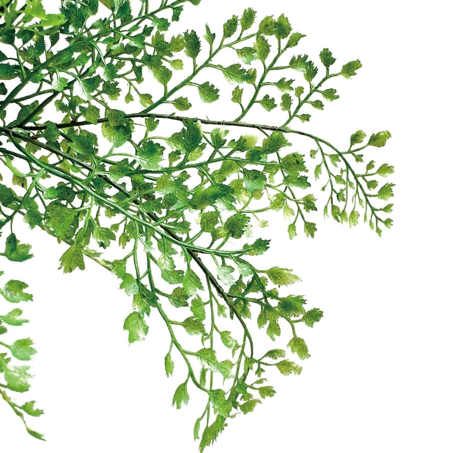 �ե��������꡼�� ���տ�ʪ �͹����տ�ʪ ¤�� ��� �ߥ� �ץߥ� ���奬���Х��� �������󥿥� �������������塼�� 3�ĥ��å� ��� �ȥ��� GREENPARK PRGR-1304 ����̵�� 