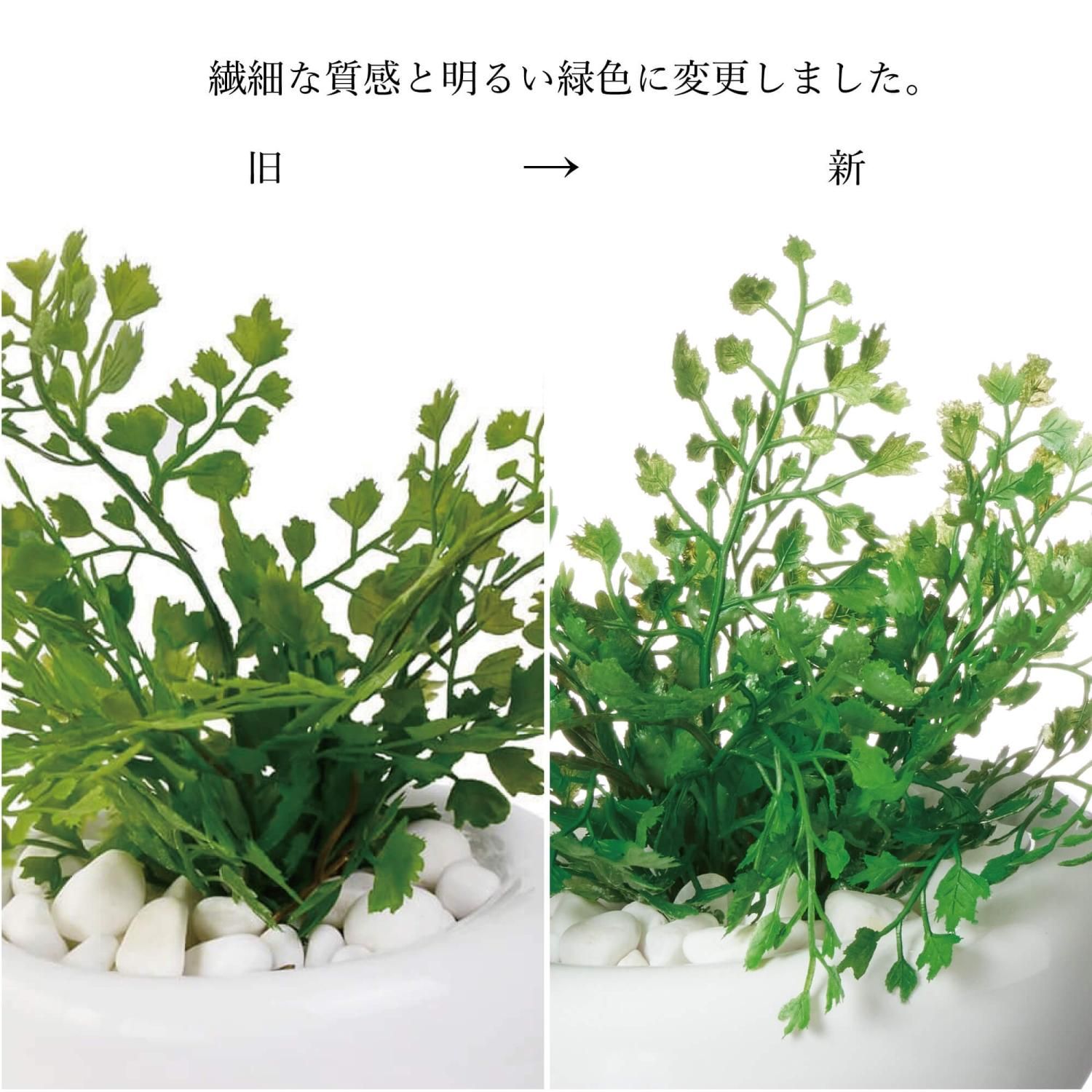 �ե��������꡼�� ���տ�ʪ �͹����տ�ʪ ¤�� ��� �ߥ� �ץߥ� ���奬���Х��� �������󥿥� �������������塼�� 3�ĥ��å� ��� �ȥ��� GREENPARK PRGR-1304 ����̵�� 