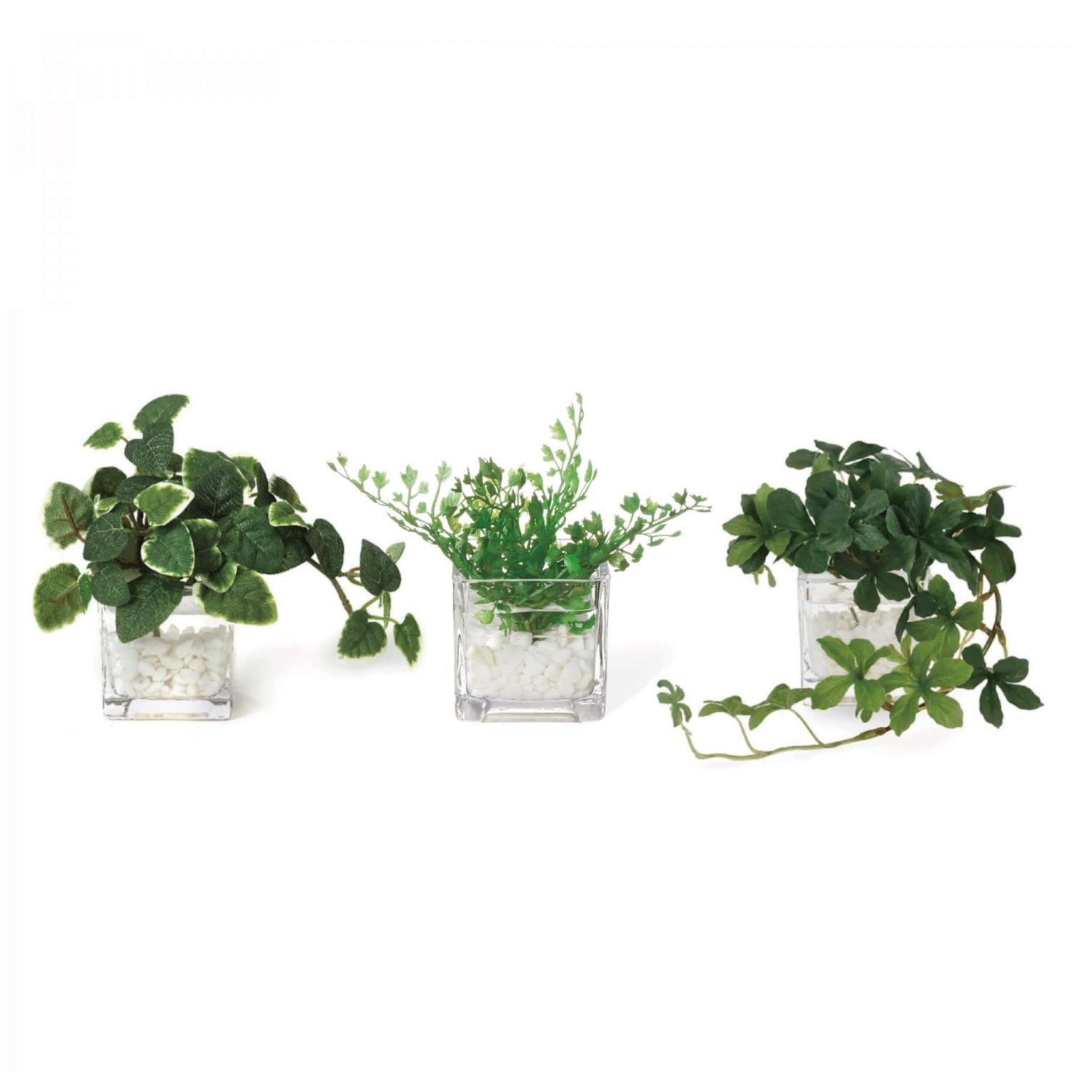 �ե��������꡼�� ���տ�ʪ �͹����տ�ʪ ¤�� ��� �ߥ� �ץߥ� ���奬���Х��� �������󥿥� �������������塼�� 3�ĥ��å� ��� �ȥ��� GREENPARK PRGR-1304 ����̵�� 