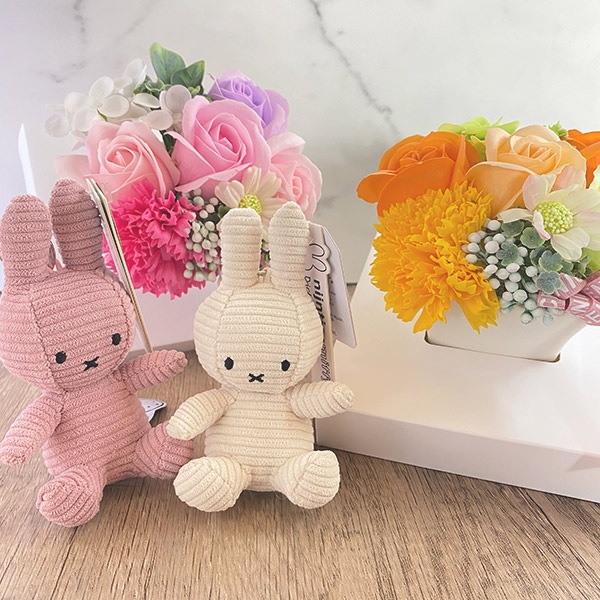 �ߥåե��� �����ۥ���� ������ �ե� ���å� �̤������ ���å� ��� 10cm ���ե� �ץ쥼��� �� �����͡������ ƫ�� ������ ����� �Ϥ�ʤ� ����ܥ� ���� ����̵�� 