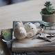 �ߥåե��� �����ۥ���� ������ �ե� ���å� �̤������ ���å� ��� 10cm ���ե� �ץ쥼��� �� �����͡������ ƫ�� ������ ����� �Ϥ�ʤ� ����ܥ� ���� ����̵�� 