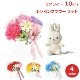 �ߥåե��� �����ۥ���� ������ �ե� ���å� �̤������ ���å� ��� 10cm ���ե� �ץ쥼��� �� �����͡������ ƫ�� ������ ����� �Ϥ�ʤ� ����ܥ� ���� ����̵�� 