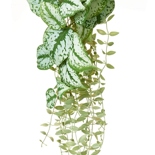 �ե��������꡼�� ���տ�ʪ �͹����տ�ʪ ¤�� �ɳݤ� ��������֥��� �ϥ󥮥� �ץ��� �Ĥ��� ��ʪ mix ñ�� ŷ���в� ������� ���� PRGR-1574 GREENPARK ����̵�� 