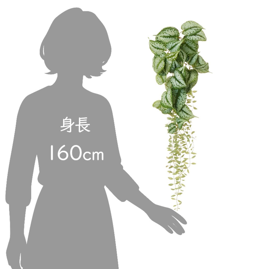 �ե��������꡼�� ���տ�ʪ �͹����տ�ʪ ¤�� �ɳݤ� ��������֥��� �ϥ󥮥� �ץ��� �Ĥ��� ��ʪ mix ñ�� ŷ���в� ������� ���� PRGR-1574 GREENPARK ����̵�� 