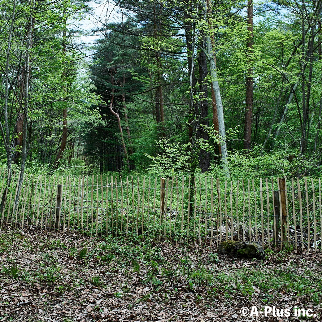 �ե��� DIY ���� ���� H120cm 5m 2�� ���å� �ء�����ʥå� �ʥ����� ����ץ� ���� �ɥå���� �ϥ��Х� �� ������ ŷ���Ǻ� �Ϥ���� �� �����ǥ˥� 