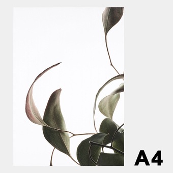 �ݥ����� �����ȥݥ����� ������� �̲� �̲��ݥ����� �ڡ��ѡ����쥯�ƥ��� Floating Leaves 08 A4 ���ꥢ �᡼���� �б� Paper Collective 8135 Ʃ�� �� ����̵�� 