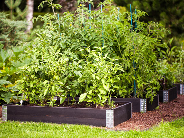 �쥤���ɥ٥å� �����ǥ� �ܥå��� 800 �֥�å� 2�� ���å� �� �����ڱ� �� ���� ��� Ȫ �Ϥ� �ե졼�� ���� ���ܹ� �ں� �⤵ 20cm DIY �����ץ饹�ǥ����� ������̵����