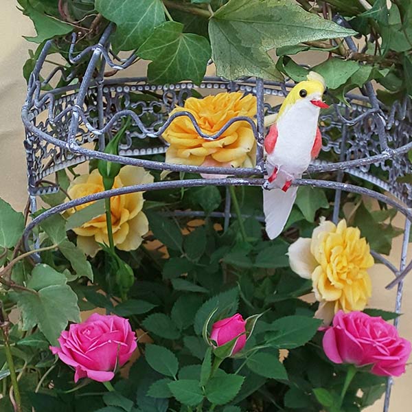 母の日 早割 送料無料 プレゼント ギフト 花 鉢植え ミニバラ バラ ローズ 薔薇 ばら 生花 寄せ植え バードケージ 鳥かご 籠 H50 No 49 おしゃれ かわいい 人気 Viewgarden