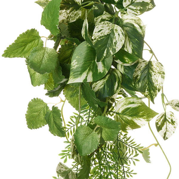 �ե��������꡼�� ���տ�ʪ �͹����տ�ʪ ¤�� �ɳݤ� �ݥȥ� �ߥ�� �ϥ󥮥� �ץ��� �Ĥ��� ��ʪ mix ñ�� ŷ���в� ������� ���� PRGR-1576 GREENPARK ����̵�� 