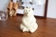 ޥե顼դ  Ȣ 2024 ԥ ܡ Polar Bear Money box PLASTEP ͢  ꡼ 򤯤  ݡ顼٥ ե ̲ ̵ åԥб 