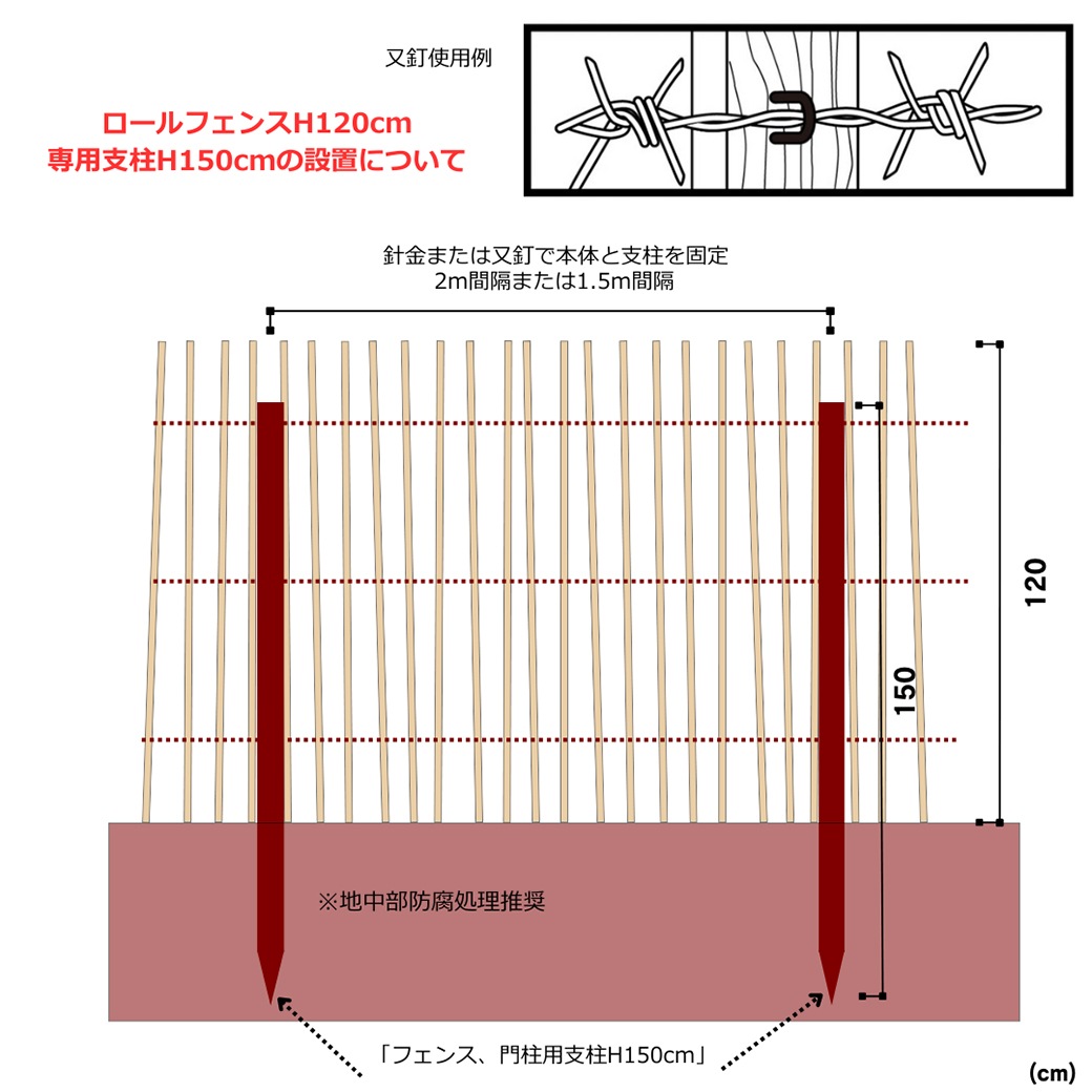 �ء�����ʥå� ���� ������ �ե��� ���� ���� ���� H150cm 2�� ���å� �����ǥ˥� ��� �� �� ���� ���� ���� �ϥ��Х� �Ϥ� �� �ʥ����� ����ץ� ���� 