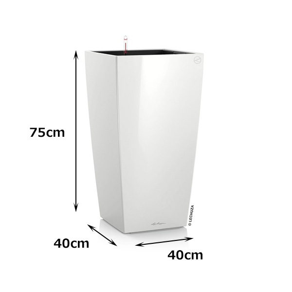 ����ȭ �ץ�󥿡� ������� �����ǥ˥󥰻��� ȭ ����塼���緿 ���塼�ӥ� 40 ���ʼ� �ⵡǽ �������� ���� ��ñ CUBICO LE-3022 �ۥ磻�� �֥�å� ����̵�� 