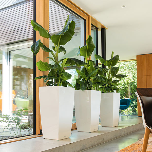 ����ȭ �ץ�󥿡� ������� �����ǥ˥󥰻��� ȭ ����塼���緿 ���塼�ӥ� 40 ���ʼ� �ⵡǽ �������� ���� ��ñ CUBICO LE-3022 �ۥ磻�� �֥�å� ����̵�� 